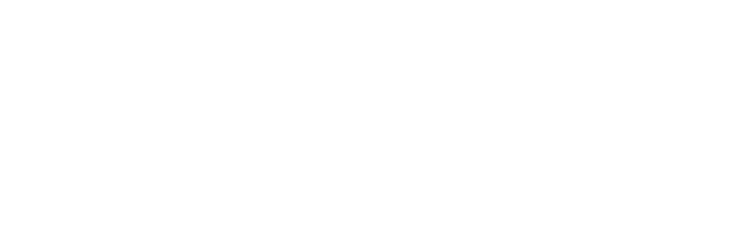 Pre-Seed